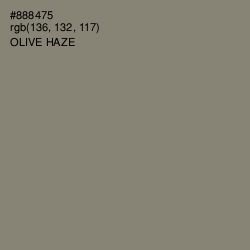 #888475 - Olive Haze Color Image